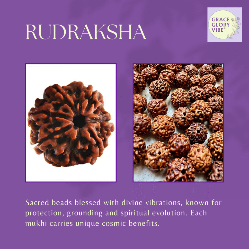 Rudraksha, best nepali rudraksha, original nepali rudraksha